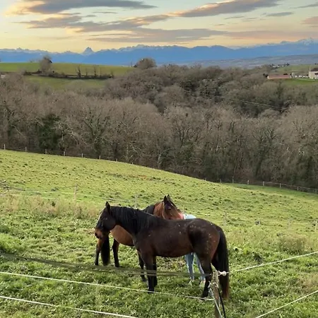 Bed and Breakfast La-haut A Candaue