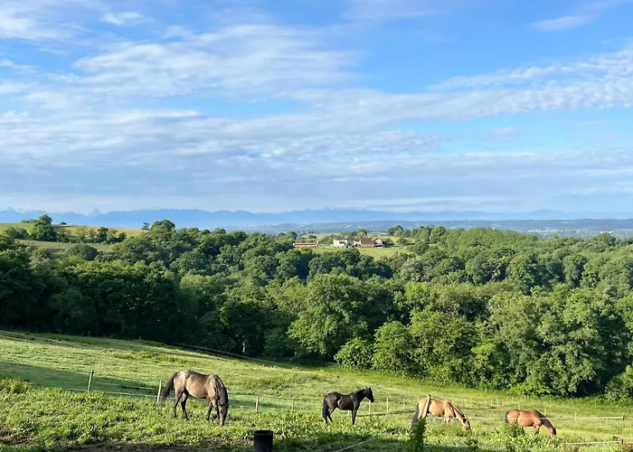 La-haut A Candaue * Fichous-Riumayou